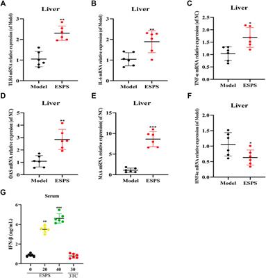 A Polysaccharide From Eupolyphaga sinensis Walker With Anti-HBV Activities In Vitro and In Vivo